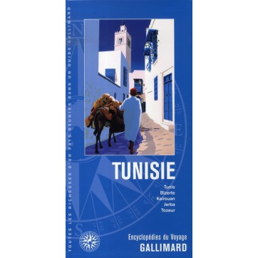 Tunisie - Tunis, bizerte, kairouan, jerba, tozeur