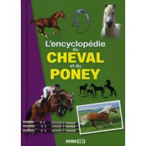 Le grand livre du cheval et du poney (French Edition): 9782353554737:  Various: Books 