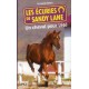 Les écuries de Sandy Lane - Un cheval pour l'été