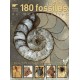 180 Fossiles du monde entier