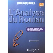L'Analyse Du Roman