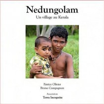 Nedungolam Un Village Au Kerala